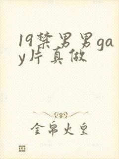 19禁男男gay片真做