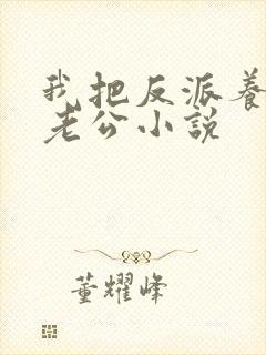 我把反派养成了老公小说