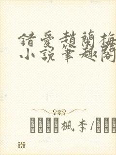 错爱赵兰梅孙明小说笔趣阁