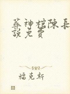 葬神棺陈长安小说免费