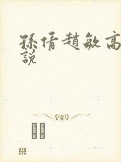 孙倩赵敏高义小说