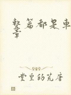 整篇都是车的文章