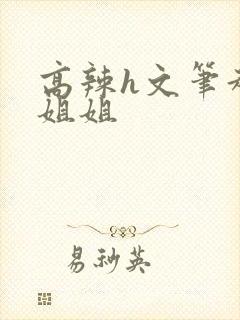 高辣h文笔趣阁姐姐封面