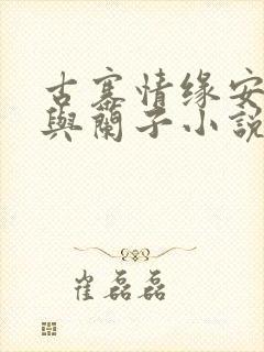 古寨情缘安壮壮与兰子小说封面