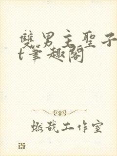 双男主圣子txt笔趣阁封面