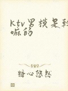 ktv男模是干嘛的