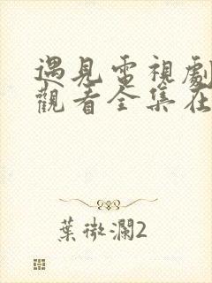 遇见电视剧免费观看全集在线播放封面