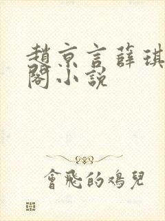 赵京言薛琪笔趣阁小说