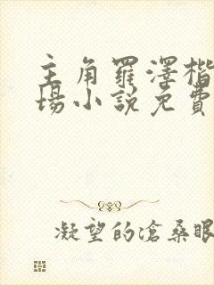 主角罗泽楷的官场小说免费阅读