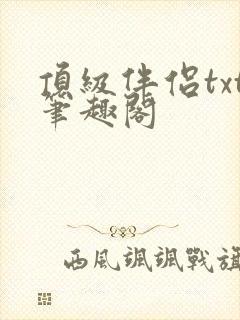 顶级伴侣txt笔趣阁