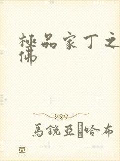 极品家丁之欢喜佛