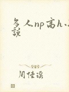 多人np高h小说