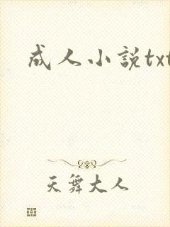 成人小说txt封面