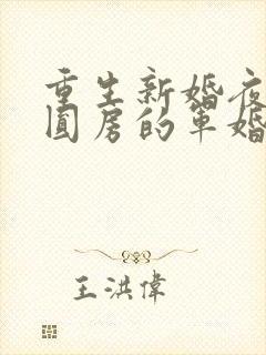 重生新婚夜正在圆房的军婚