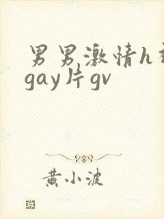男男激情h视频gay片gv