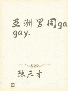 亚洲男同gay gay.