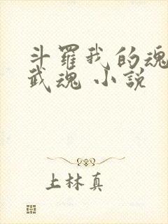 斗罗我的魂环是武魂 小说封面
