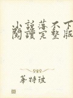 小说落不下免费阅读完整版