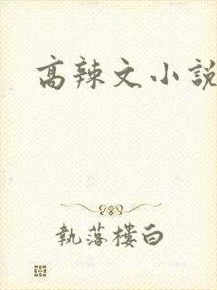 高辣文小说