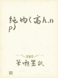 纯肉(高h.np)封面