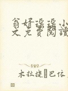 翁婿瑶瑶小说全文免费阅读最新章节