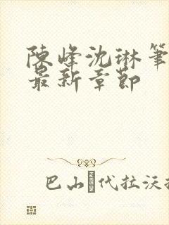 陈峰沈琳笔趣阁最新章节