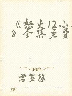 《怒火12小时》全集免费观看