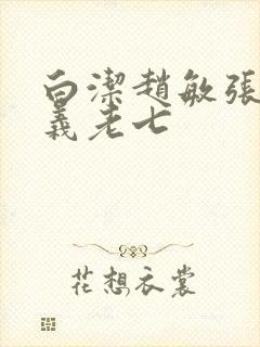 白洁赵敏张倩高义老七