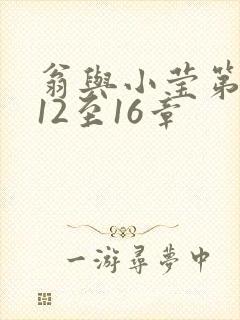 翁与小莹第十部12至16章