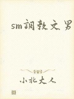 sm调教文男女