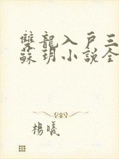 双龙入户三人行苏玥小说全文阅读封面