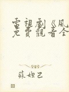 电视剧《风云》免费观看全集封面