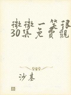 微微一笑很倾城30集免费观看全集