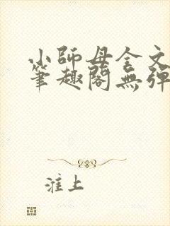 小师母全文阅读笔趣阁无弹窗封面