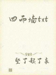 四面墙txt