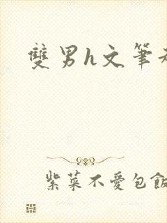 双男h文笔趣阁