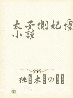 太子侧妃傻乎乎小说