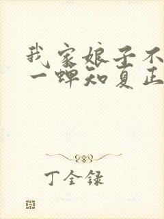 我家娘子不对劲一蝉知夏正版