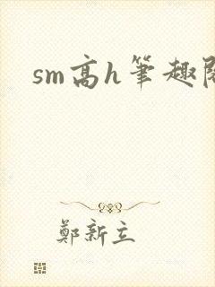sm高h笔趣阁
