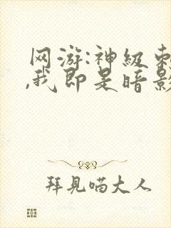 网游:神级刺客,我即是暗影txt