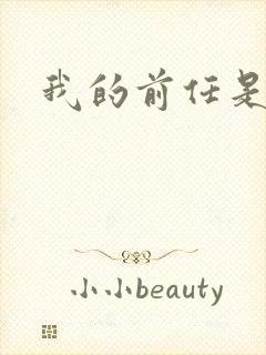 我的前任是极品