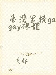 台湾男模gaygay裸体