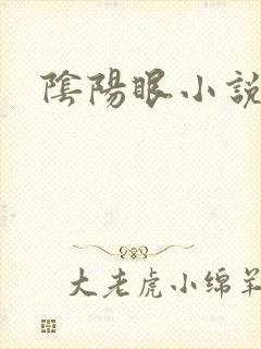 阴阳眼小说