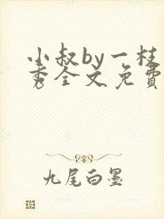 小叔by一枝独秀全文免费阅读笔趣阁最