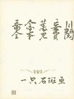 乔念叶妄川小说全本免费阅读无弹窗