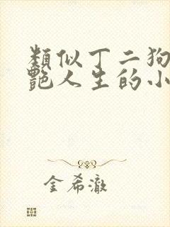 类似丁二狗的猎艳人生的小说