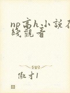np高h小说在线观看封面