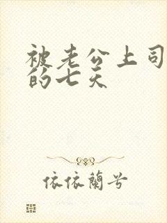 被老公上司侵犯的七天封面