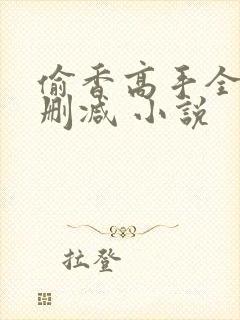 偷香高手全文无删减 小说