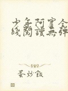 少年阿宾全文在线阅读无弹窗